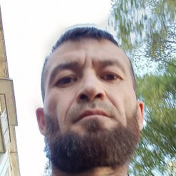 Sultan, , 44 