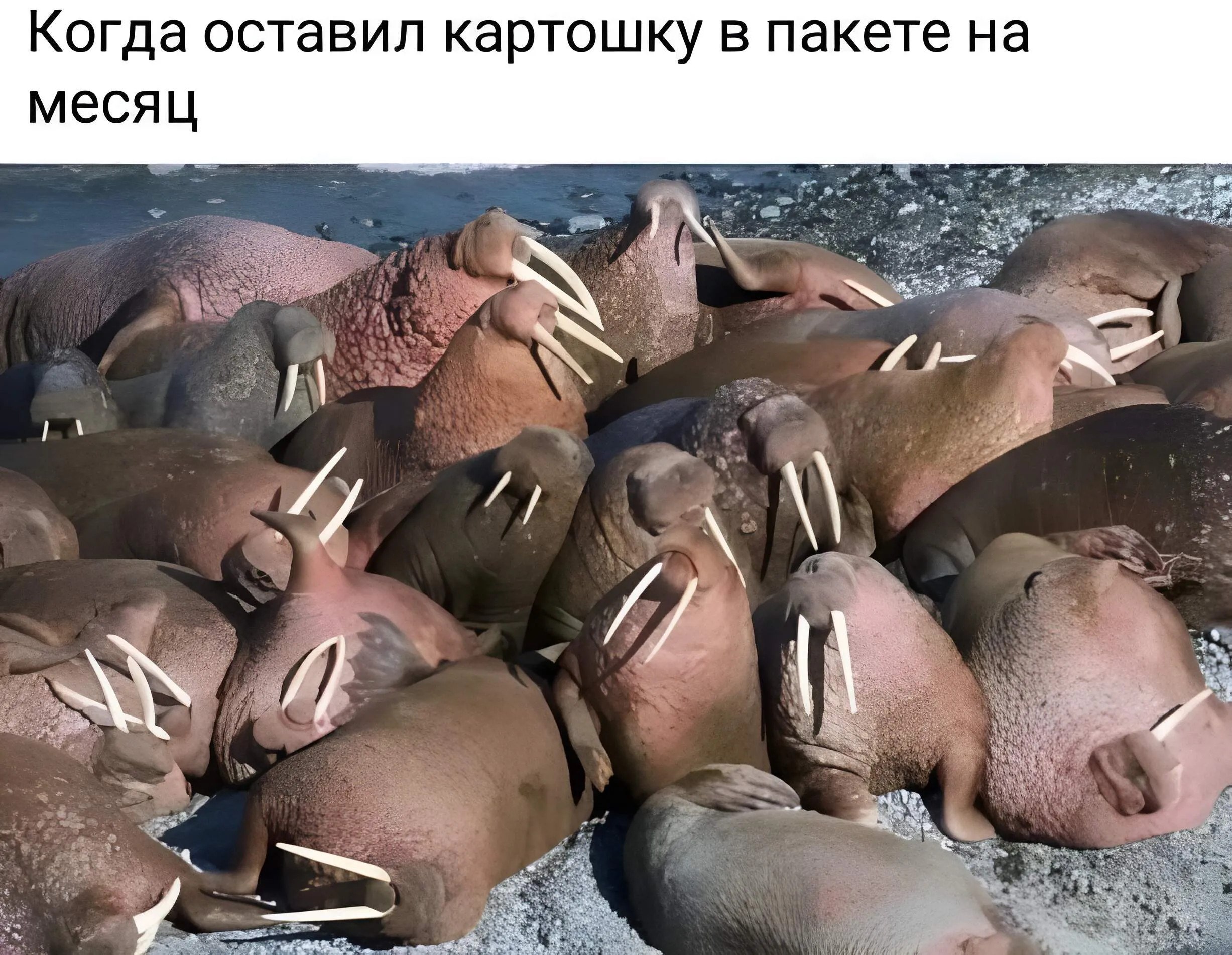   - 15  2025  01:15