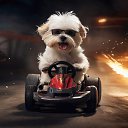 ���� ����, ������, 50 ��� - ��������� 24 ������� 2024 � ������ ������ ��������