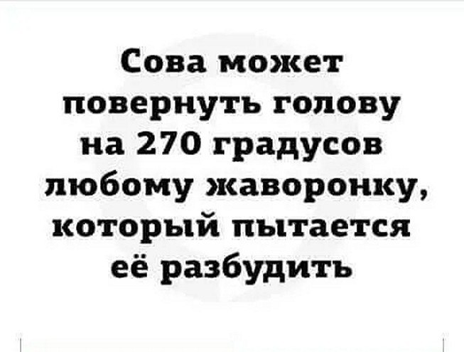 ☆ ☆ - 2  2025  08:38