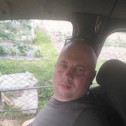 , 33, 