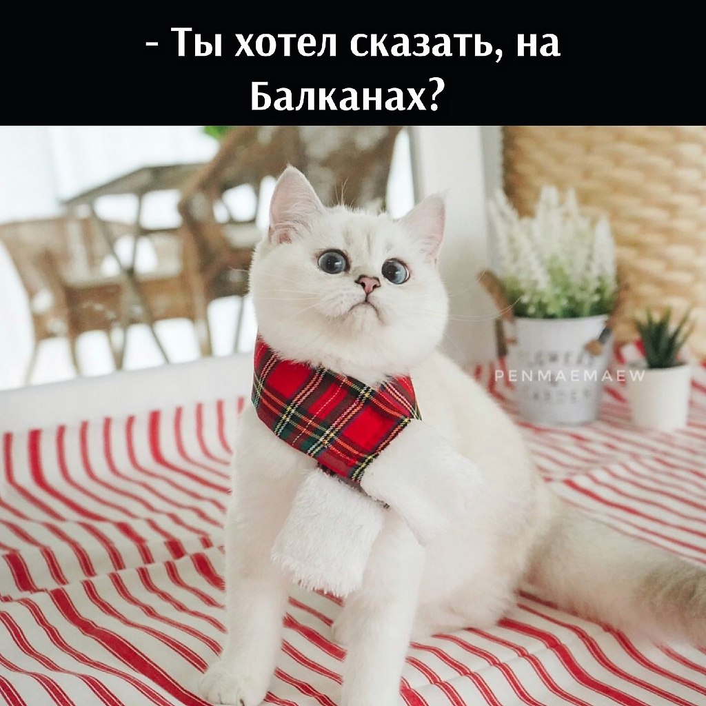 ��� ���� � ����� �� �� - 16 ������� 2025 � 17:03 - 3