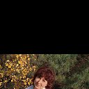 ���� ����, ������, 48 ��� - ��������� 2 ������� 2026 � ������ ���� ����������