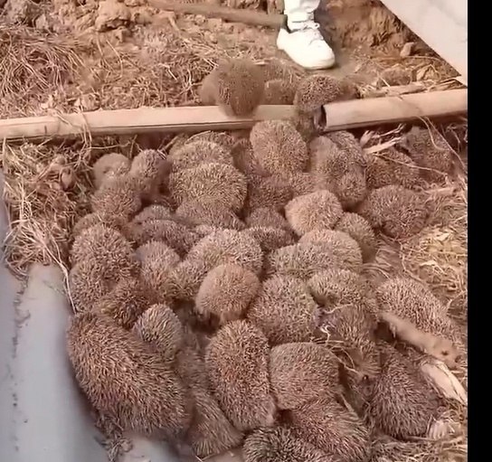�������� �� ����, � ������ ���� �����.���������� ���������� �� � ����� - 2
