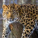 ���� ���� � 289), ����� - ��������� 28 ������ 2023 � ������ ���� ����������