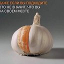 ���� ������, ����� - ��������� 11 ������� 2024 � ������ ���� �����