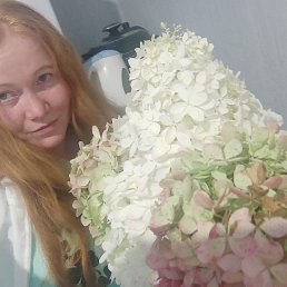 ���� �������, �������, 35 ��� - ��������� 27 ������� 2026