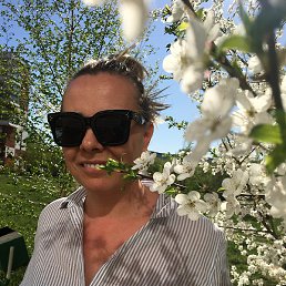 �����, �����, 56 ���