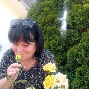 Vita, 66 ���, ��������