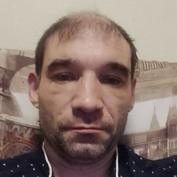 ����, ������, 41 ���