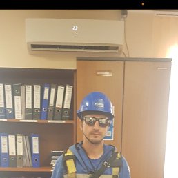 , 29, 