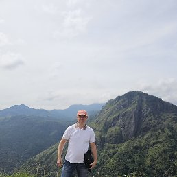 Lion, , 51 