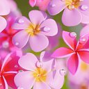 ���� ����, ���������, 50 ��� - ��������� 8 ������� 2026 � ������ ���� ����������