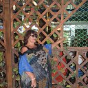 ���� ����, ������, 67 ��� - ��������� 19 ������� 2026