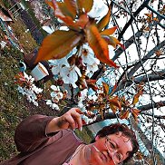 ����, 35 ���, ���������