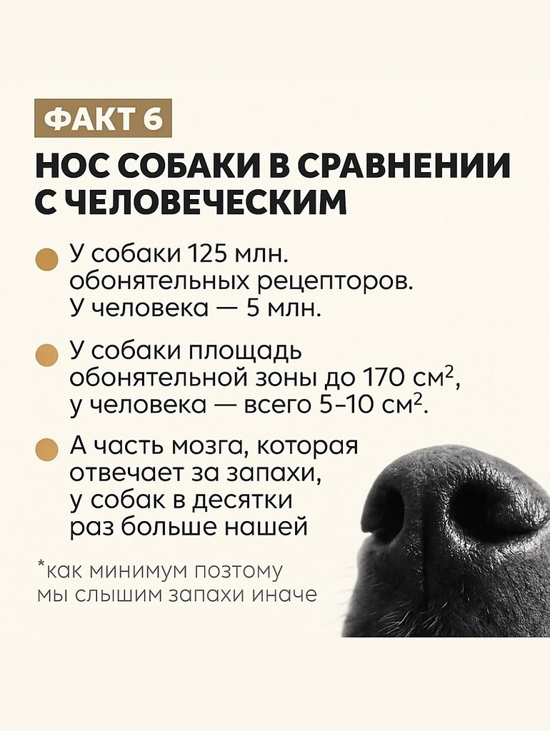       , Google       .    ... - 7