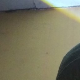 ������, �������, 43 ����