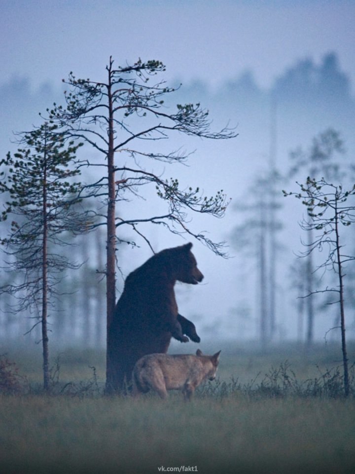 oopa a, o a po 10  o  ee  oxo py o pya  a a: ...