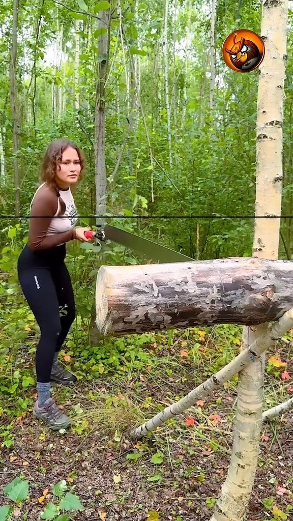 ������ ����������� - 2