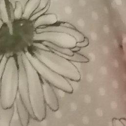 ����, ������, 63 ����