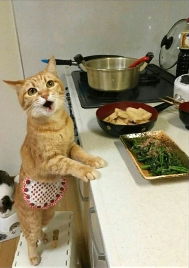 - ,  ? -   
