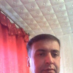 ���� �����, ������, 43 ���� - ��������� 28 ������ 2023