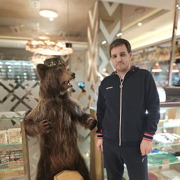 , 38, 