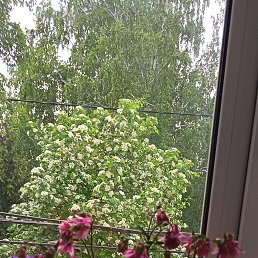 ���� �������, ������, 62 ���� - ��������� 31 ��� 2026