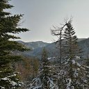 ���� �����, ������, 47 ��� - ��������� 10 ������� 2025 � ������ ���� ����������