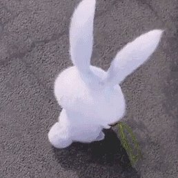 Fate, �����, 48 ���