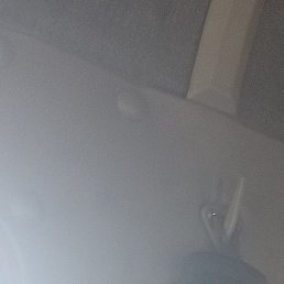 ������, ��������, 24 ����