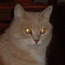 ���� ���, ������ - ��������� 30 ���� 2025 � ������ ������ ��������