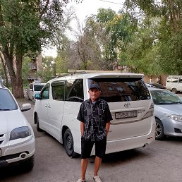  , 61 , 