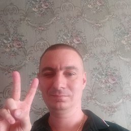 , 40, 