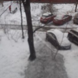 ���� ����� �, ������, 44 ���� - ��������� 25 ������ 2024