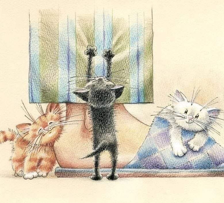         !  ,    , , ...