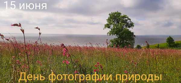 Именины: Ульяна, Мария, Дмитрий, Константин, Иван - 8