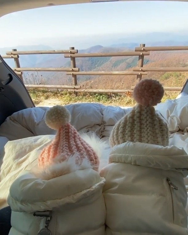 ��������� ����������� - 2