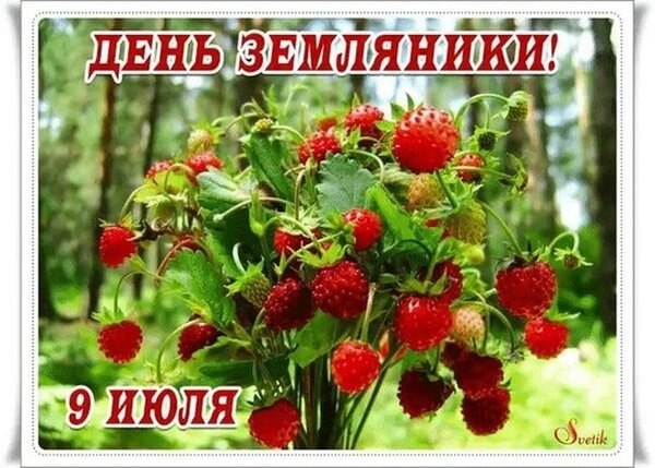9 июля - День земляники.В народе 9 июля начинался сбор земляники, поэтому и прозвали день памяти ...