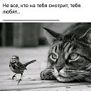 ���� ����, �����������, 57 ��� - ��������� 26 ������ 2023