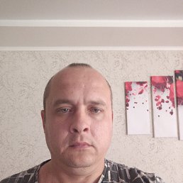 , 41, 