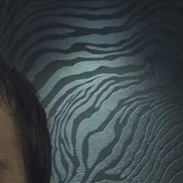 ����, �����������, 36 ���