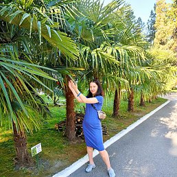 ����, ������ ��������, 22 ����