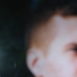 �����, ������, 41 ���