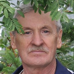 ��������, ���������, 66 ���