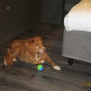 17.1.2026 �� ������������ 50-����� ���� � ���������. ���������, ��� ����� ������������ � �������... �� ������� ������ ��������