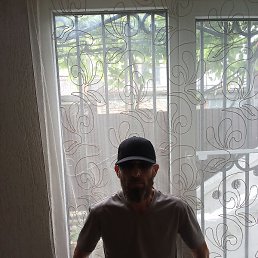 �����������, �������, 37 ���