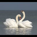 �-��� ������, ��� ����� ��� �����, ������� � ��������� ��� ������ ��������... ������ ����������, ������ ����������, ������� ������� � ������ ������... ��������, ��������, ����������, � � �����, ���� ����� ������... �� ������� ������ ��������