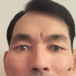 , 51, 