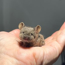 ���, ������, 24 ����